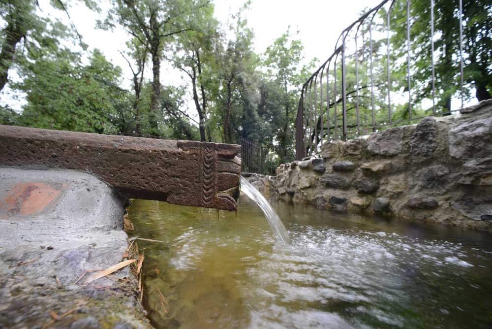 domaine chemin royal ardeche